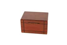Trick Coin Box