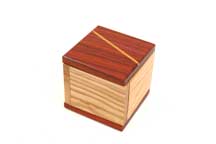 Einstein Box by Jean-Claude Constantin