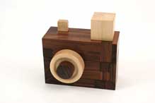 Camera Conundrum by Pelikan