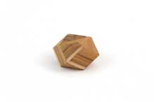 Distorted Pennyhedron