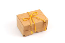 String Box 2010 (TU-17) by Fumio Tsuburai